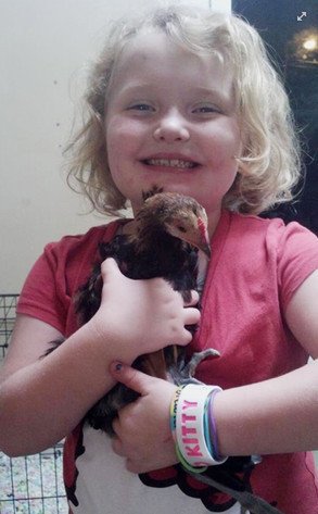 Honey Boo Boo Pet Chicken Nugget